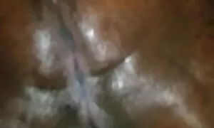 ದೊಡ್ಡ ಕತ್ತೆ ಮತ್ತು ಕಪ ...