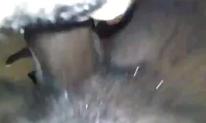 ಎಬೊನಿ ಕ್ವೀನ್ ಕಪ್ಪು ಆ ...